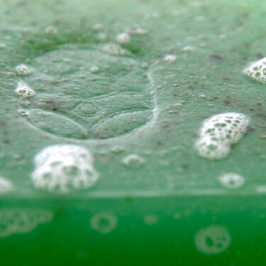 Σαπούνι με ζεόλιθο MED®, δενδρολίβανο, φασκόμηλο και μέντα - Κατά της τριχόπτωσης, της πιτυρίδας και της ξηροδερμίας - 125 γραμμάρια