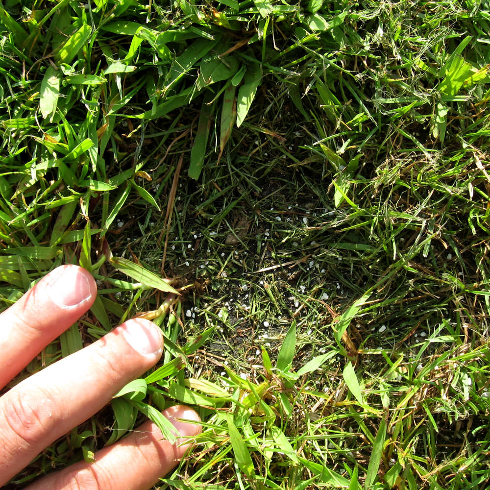 Ζεόλιθος από 0,8 έως 2,5 χιλιοστά - Λεπτό χαλίκι, ιδανικό για ενσωμάτωση σε καλλιέργειες μιρκής κλίμακας - 25 κιλά