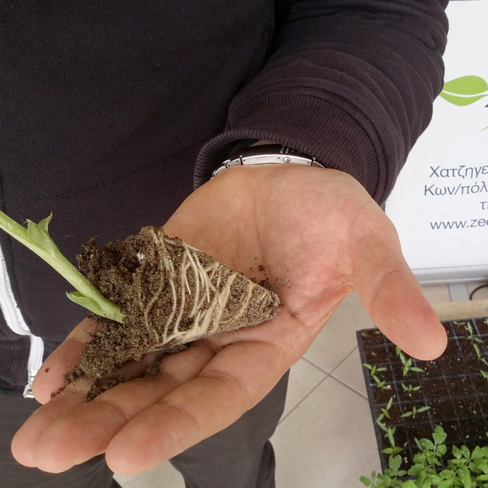 Ζεόλιθος έως 0,8 χιλιοστά – Πούδρα, ιδανική για ενσωμάτωση σε καλλιέργειες μικρής κλίμακας και κτηνοτροφική χρήση - 25 κιλά